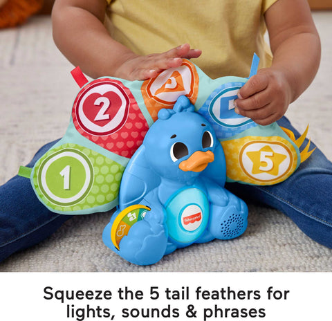 Fisher-Price FP Infant HNN78 Toy