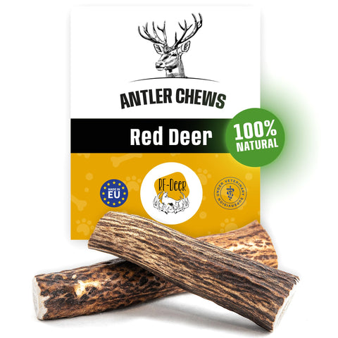 RF - DEER Deer Antler for Dogs | Natural Long Lasting Chew Treat | Enjoyment and Dental care for your dog | Available in different versions | Size L | HARD Version | PREMIUMÃƒÆ’Ã†â€™ÃƒÂ¢Ã¢â€šÂ¬Ã…Â¡ÃƒÆ’Ã¢â‚¬Å¡Ãƒâ€šÃ‚Â | 121-160 g | 17-19 cm