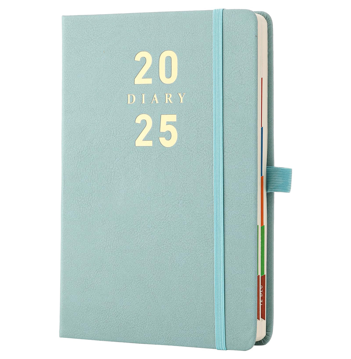 Mljtoyo Diary 2025 A5 Day per Page, Hardcover Daily Monthly Planner Organized from Jan-Dec 2025,A5 Day to View Diary with Coloured Monthly Tab,Pen Holder,Bookmarks,Inner Pocket,Green