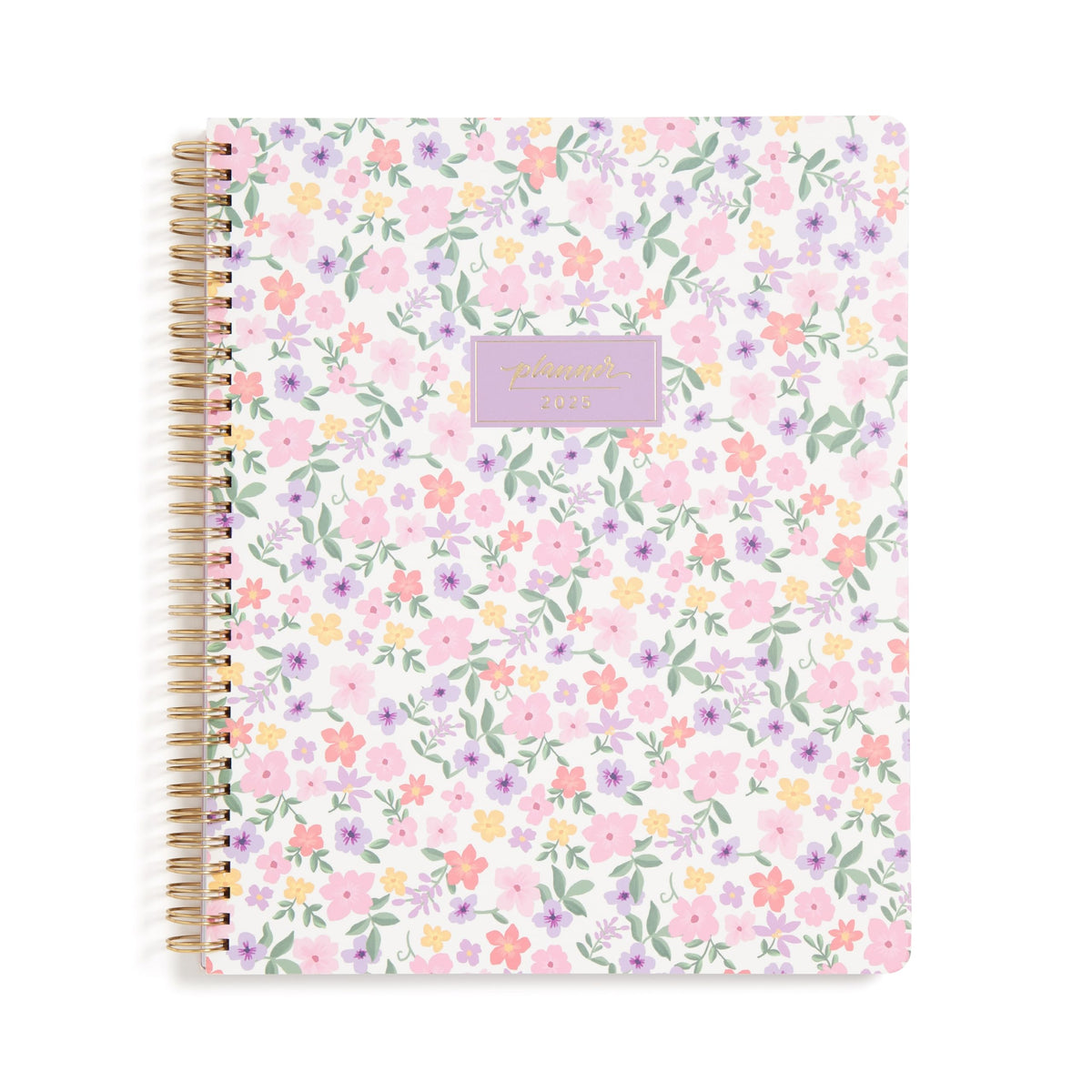 Blue Sky 2025 15-Month Weekly and Monthly Planner Calendar, October 2024 - December 2025, 8.5" x 11", Flexible Cover, Laminated Tabs, Wirebound, Storage Pocket, Darby (Darby- 2025, 8.5" x 11")