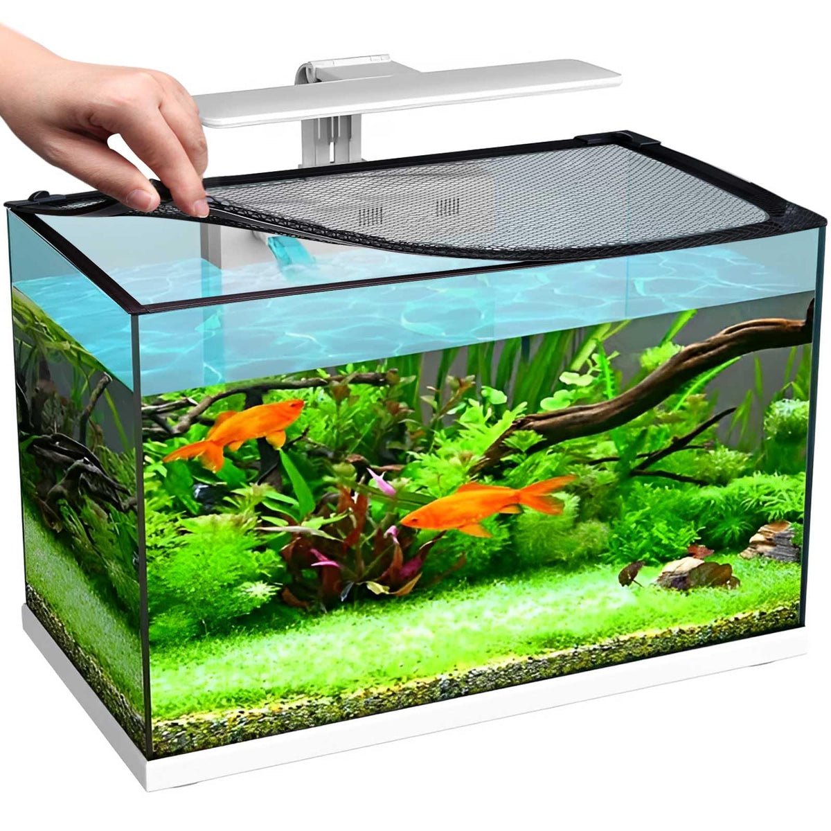 FWUNYVN Magnetic Fish Tanks lid Cover Protective Net,DIY Aquarium Anti-Jumping net,Prevents Turtles,Fish,Reptiles from Escaping The Turtles Tanks for Circumference up to 11.8"×11.8"