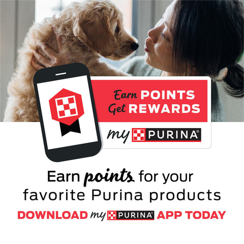 Purina Prime Bones Made in USA Facilities Limited Ingredient Medium Dog Treats, Chew Stick With Wild Venison - (6) 4 ct. Pouches