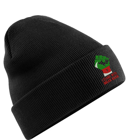 Embroidered I Stand with Imran Khan PTI Flag Beanie Cap Prime Minister of Pakistan Unisex Gift Beanie Hat (Black),One Size