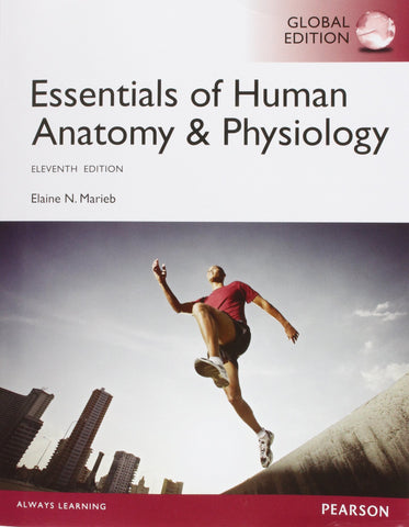 Essentials of Human Anatomy & Physiology, Global Edition