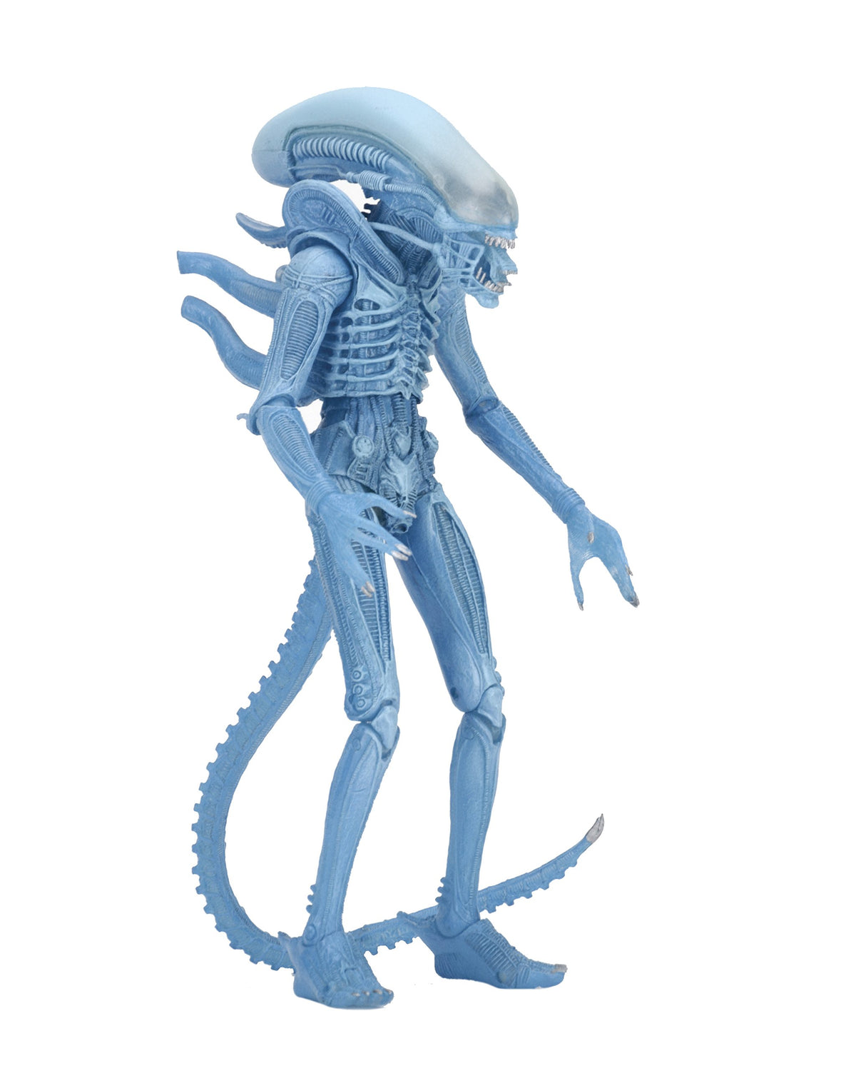 NECA Aliens 7" Scale Series 11 Blue Warrior Action Figure
