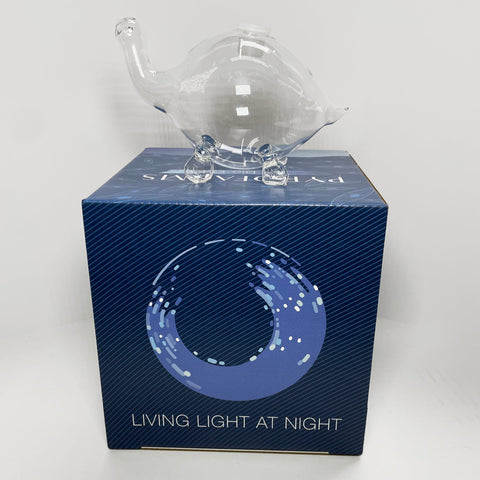 Bioluminescent Bio-Turtle Gift Option, Glass Turtle Micro-Aquarium, Redeemable PyroDino Card for Live PyroDinos and DinoNutrients