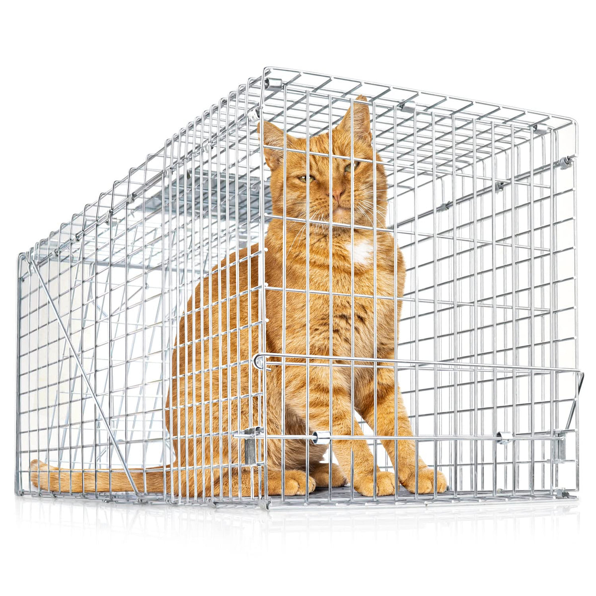 eXuby Large Cat Trap for Stray/Feral Cats & Other Animals - 32"x12"x13Ã¢â‚¬Â - Catch Them Live & Relocate - Extra Large 8.5" Trigger Platform - Also for; Racoon, Rabbit, Possum, Skunk, Bobcat, Squirrel