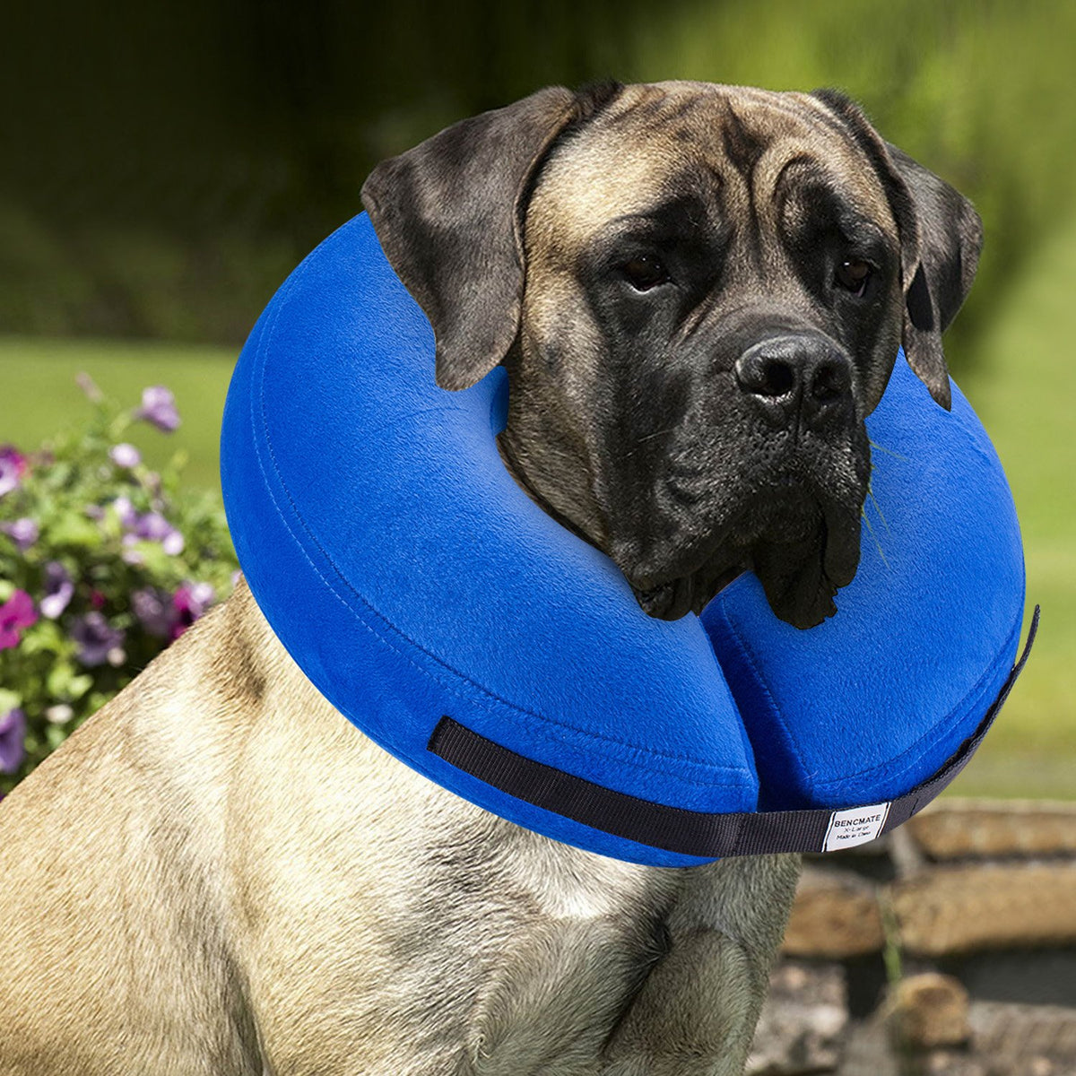 BENCMATE Protective Inflatable Collar for Dogs and Cats - Soft Pet Dog Cone Recovery Collar Does Not Block Vision E-Collar(X-Large, Blue)