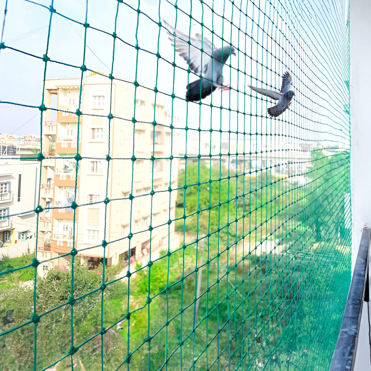 Mr. Right Bird Net/Anti Bird Net for Balconies/Anti Pigeon/Anti Monkeys Heavy Duty HDPE Mesh Net for Balconies (5x11ft), Installation Kit Included