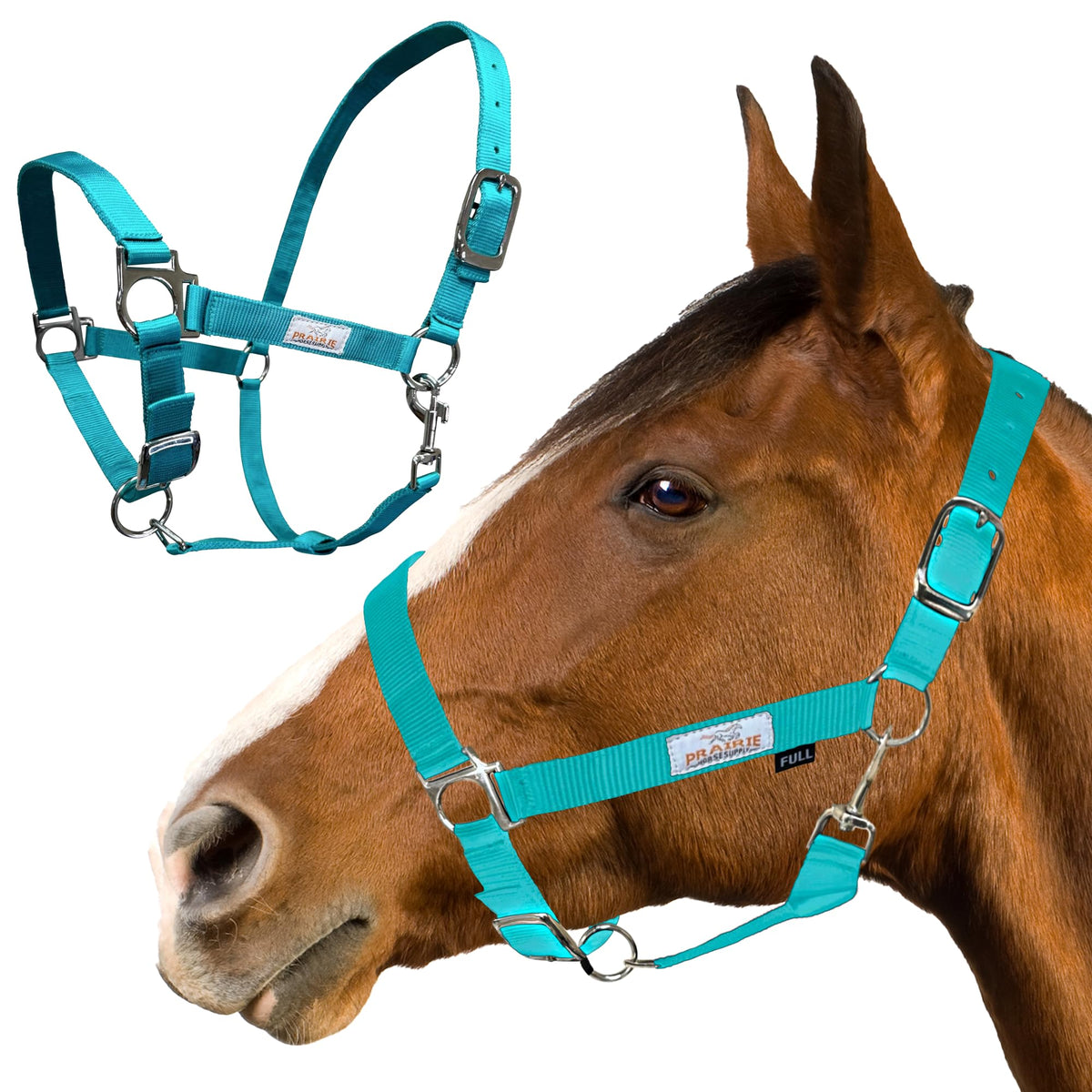 Prairie Horse Supply Nylon Horse Halter, 1 inch Wide, Heavy Duty, Adjustable (Turquoise, Horse)