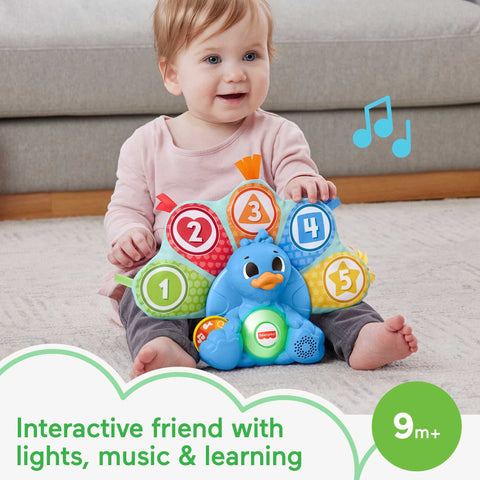 Fisher-Price FP Infant HNN78 Toy