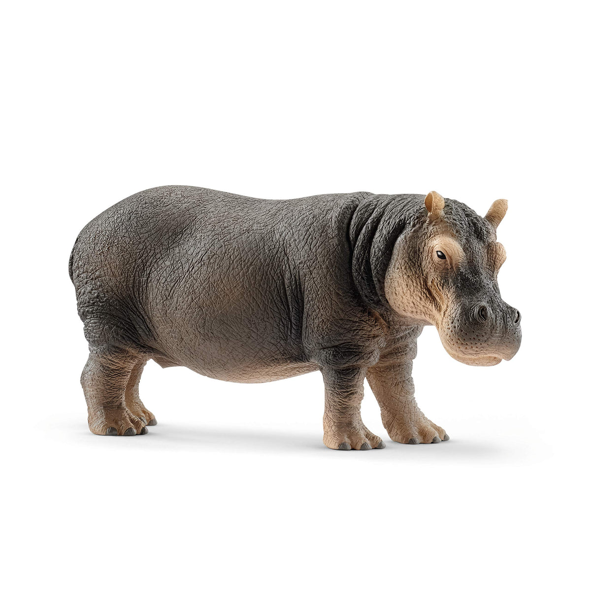 Schleich Wild Life 14814 Realistic Detailed Hippopotamus Figurine - Wild Hippo Figurine Toy for Play and Education, Highly Durable and Detailed - Animal Toys Gift for Boys, Girls, Kids Ages 3+