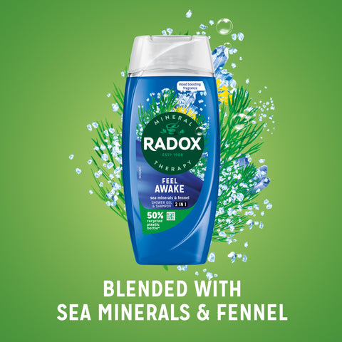 Radox Mineral Therapy Feel Awake Men 2in1 Shower Gel & Shampoo with Fennel & Sea Minerals - 225ml (Pack of 6)