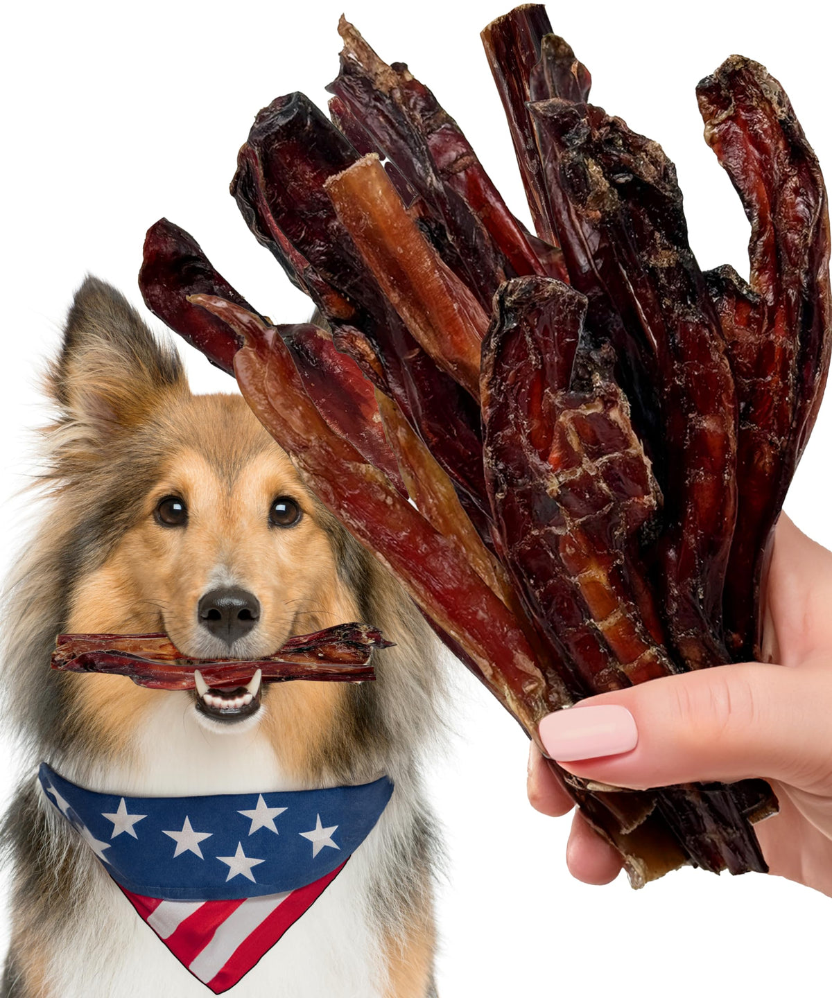 Odor Free Bully Sticks for Dogs, Bully Sticks for Medium Dogs, 6 inch Bully Sticks for Dogs Made in USA, Bully Stick, Dog Bully Sticks for Small Dogs, Pizzle Sticks for Dogs, Puppy Bully Sticks, 8oz.