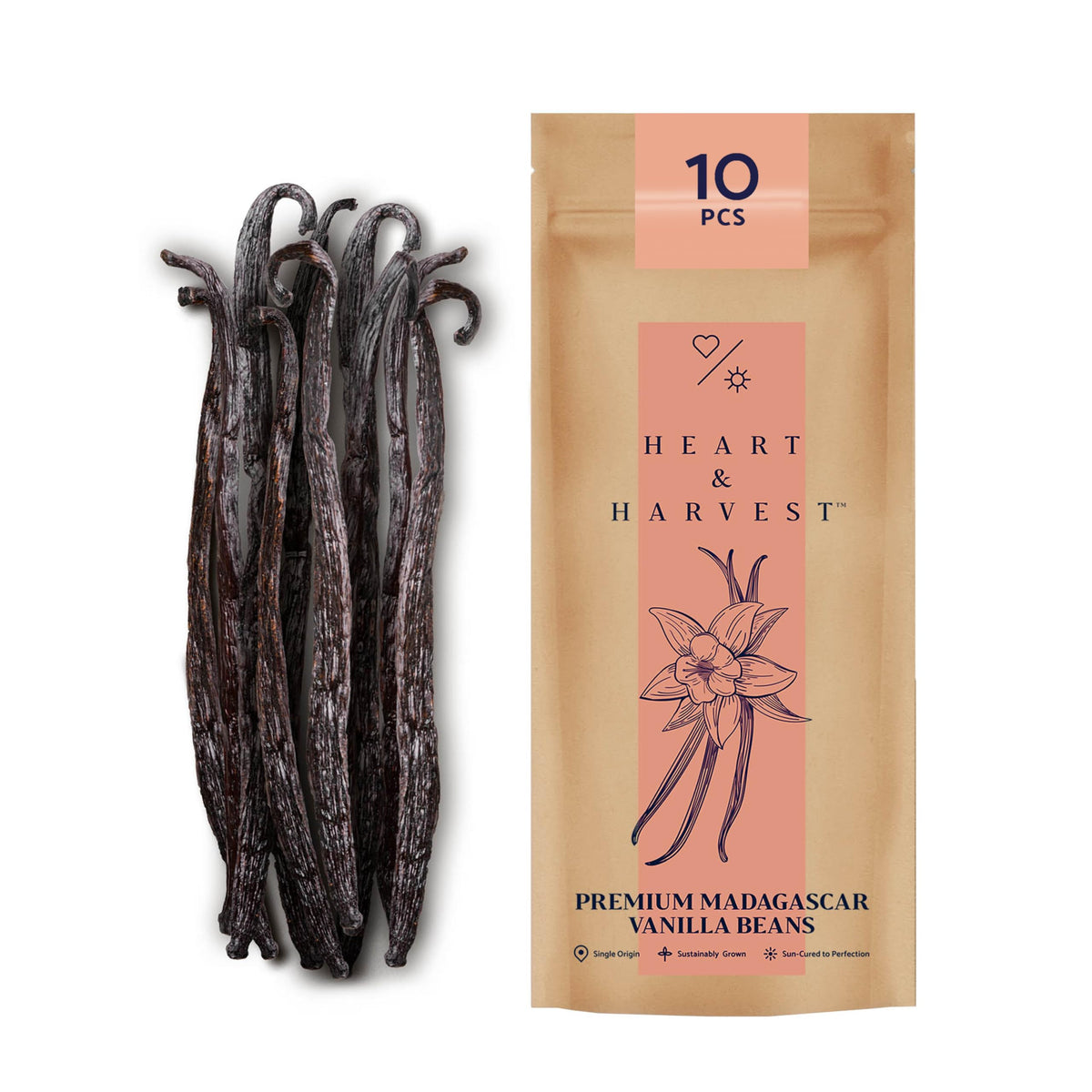 Heart & Harvest Premium Tahitian Vanilla Beans Grade A, 5"- 6" Long Bean Sticks, Pack of 10 Whole Vanilla Pods Perfect to Make Pure Vanilla Powder & Extract for Baking, Ice Cream, Syrup & More