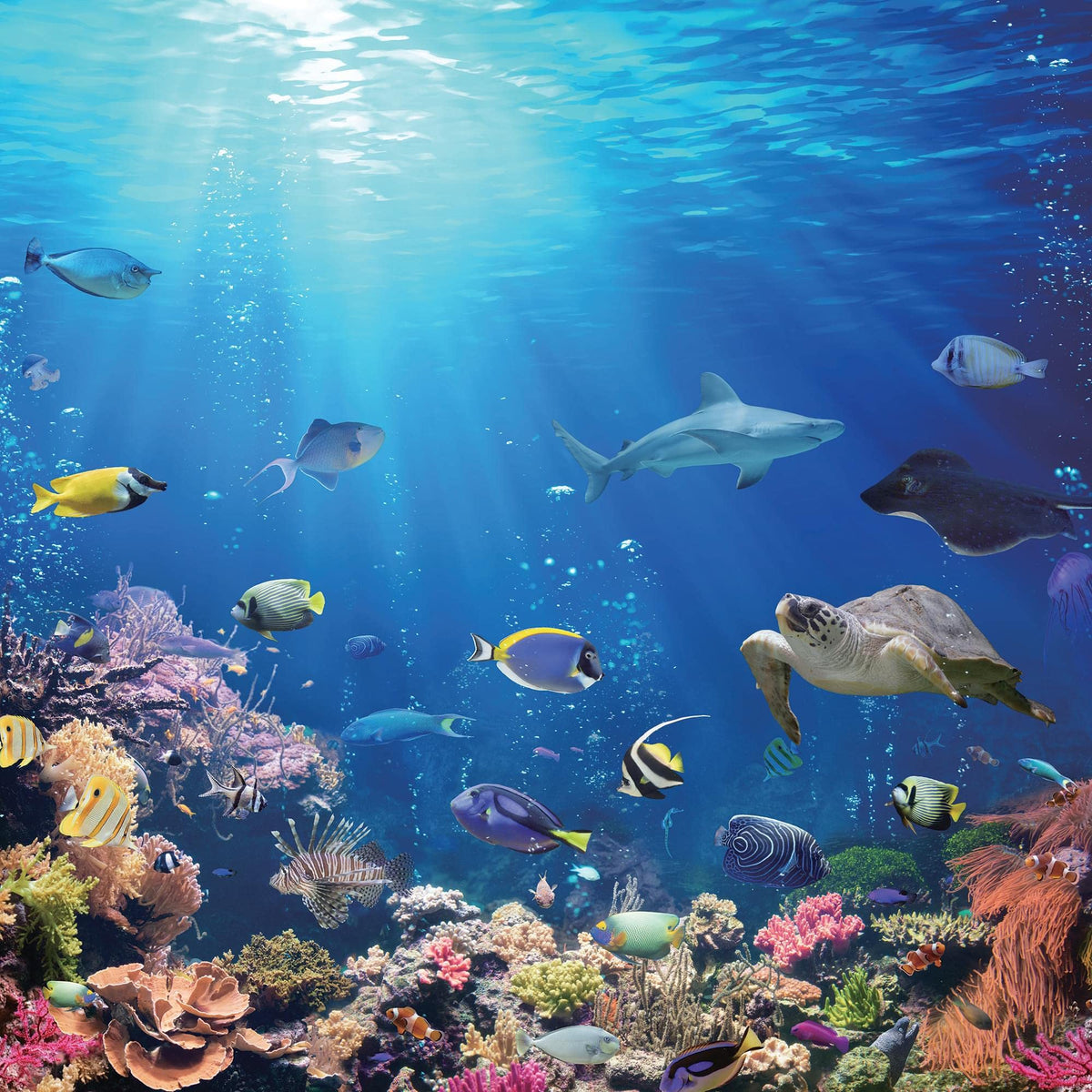 Under The Sea Coral Reef 500 Piece Jigsaw Puzzle