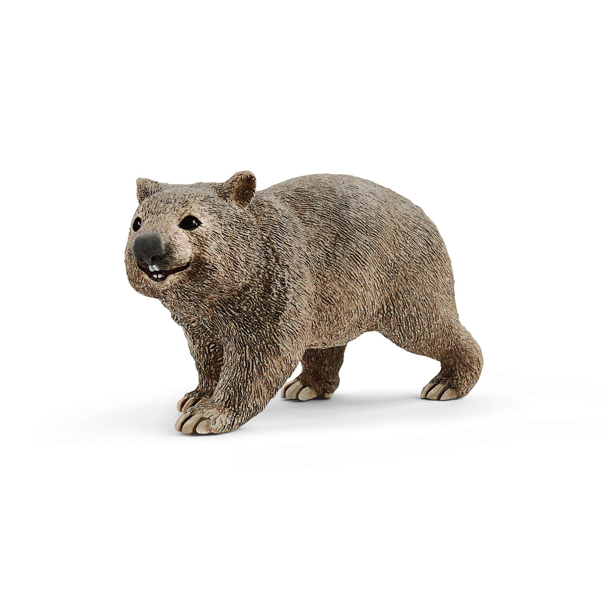Schleich Wild Life, Realistic Australian Animal Toys for Kids Ages 3 and Above, Wombat Toy Figurine