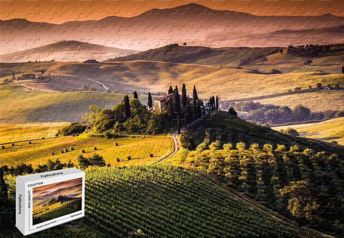 1000 Piece Jigsaw Puzzle - Photography Tuscany Basswood Materials 29.5 X 19.6 Inch
