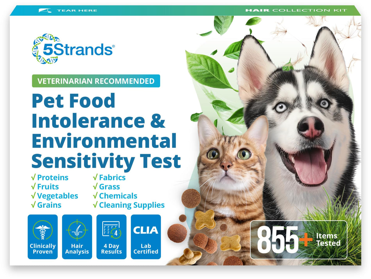 5Strands Pet Food Intolerance & Environmental Sensitivity Test, at Home Gut Health Test for Dogs & Cats, 857 Items Tested, Pet Health Check, Results in 4 Days, For All Ages and Breeds