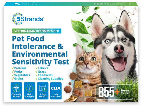 5Strands Pet Food Intolerance & Environmental Sensitivity Test, at Home Gut Health Test for Dogs & Cats, 857 Items Tested, Pet Health Check, Results in 4 Days, For All Ages and Breeds