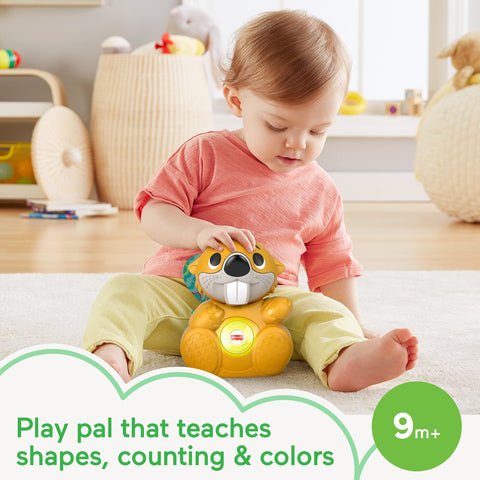 Fisher-Price Linkimals BoppinÃƒÂ¢Ã¢â€šÂ¬Ã¢â€žÂ¢ Beaver - UK English Edition, Light-up Musical Activity Toy for Baby, GXD79