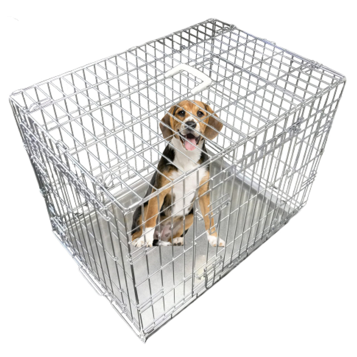 Ellie-Bo Silver Standard Medium 30-inch Folding 2-Door Dog Cage/Crate with Metal Tray