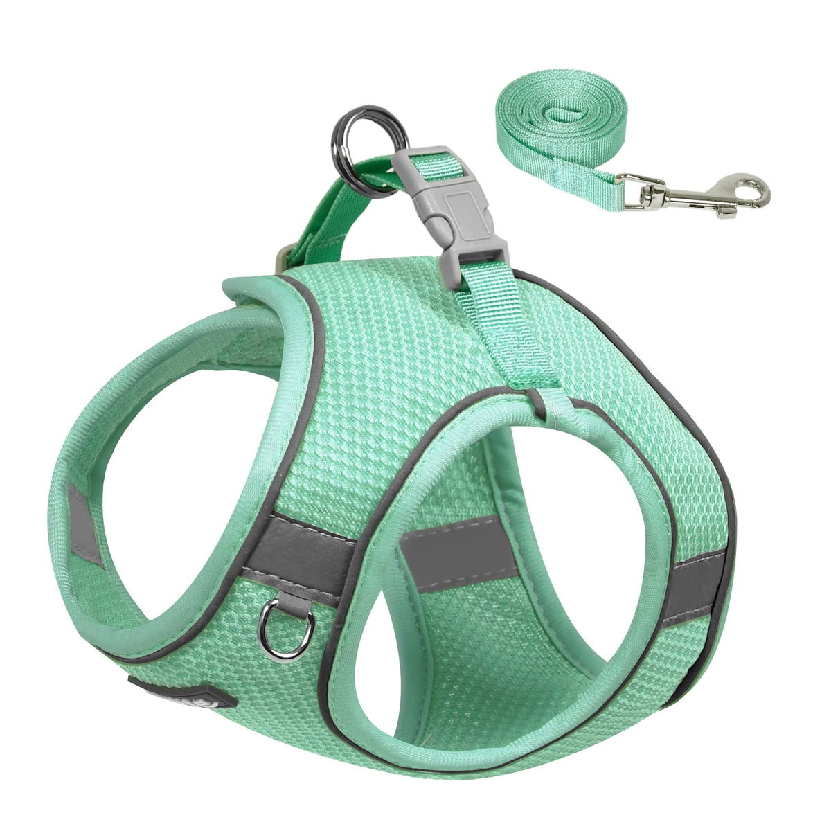 AIITLE Puppy Harness and Leash Set for Walking, Step in Dog Harness, Soft Breathable Pet Supplies, Reflective Bands, for Extra Small Dogs and House Cats Turquoise XXXS