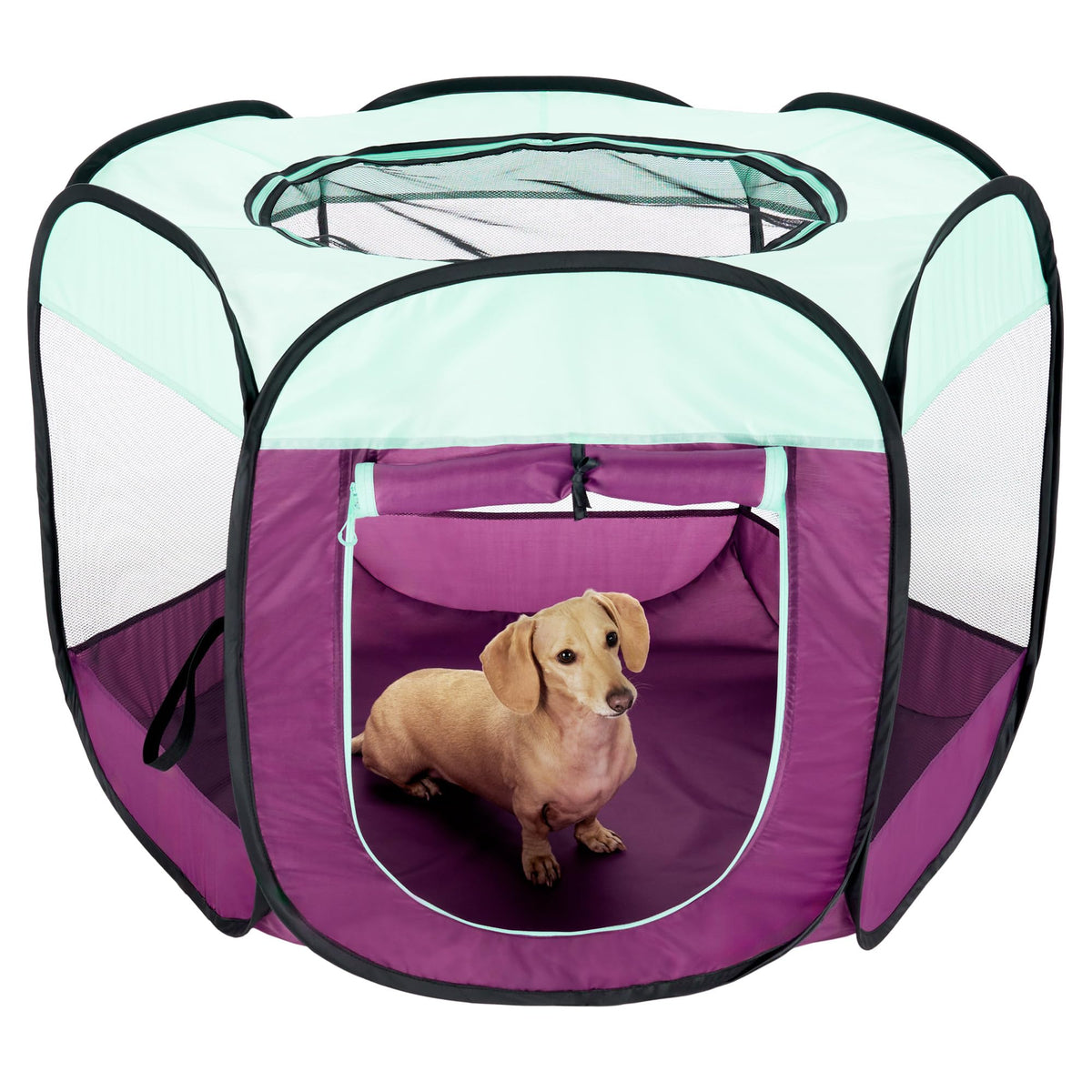 Furhaven Pop Up Playpen Pet Tent Playground - Purple, Medium