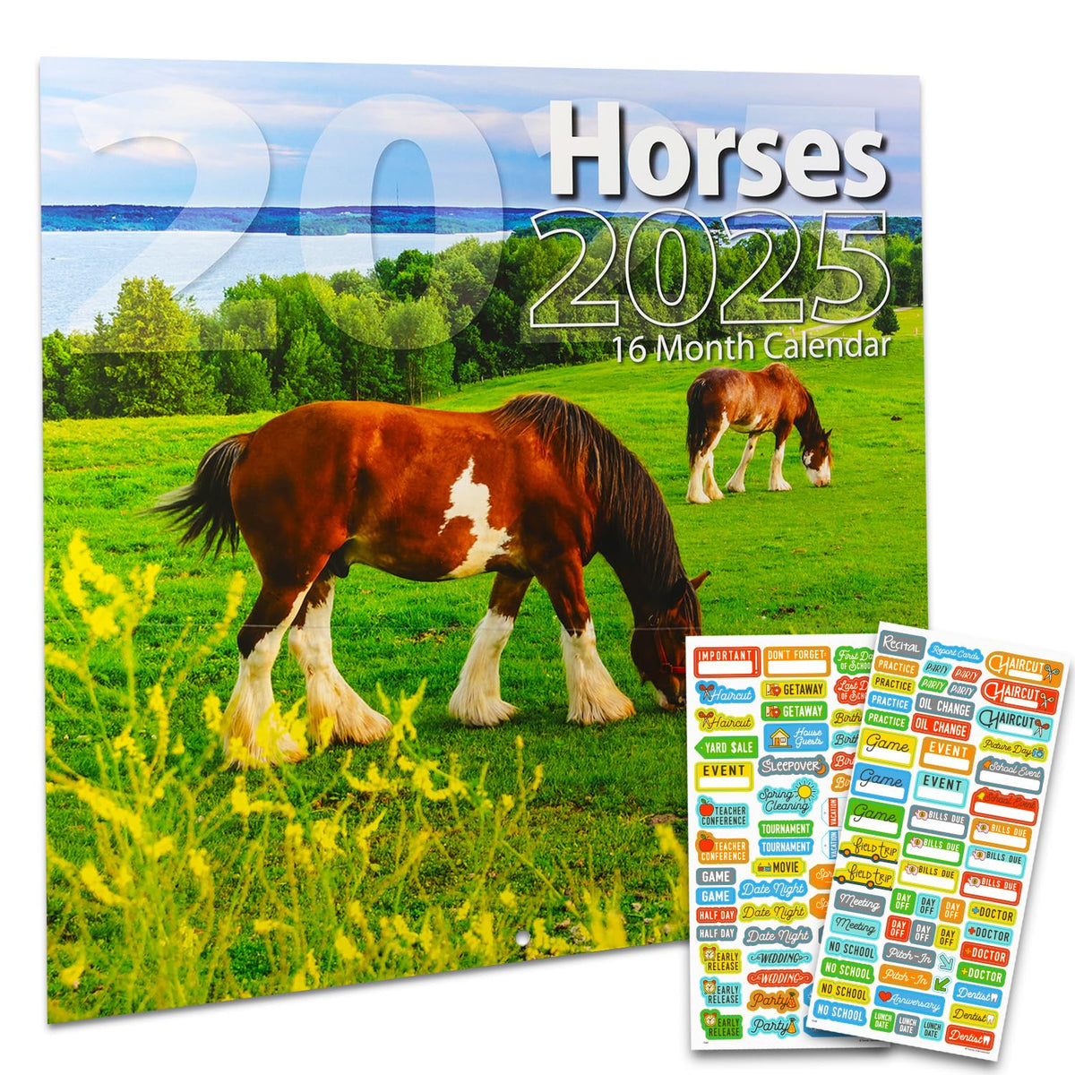 Horses Calendar 2025 - Deluxe 2025 Stallion Wall Calendar Bundle with Over 100 Calendar Reminder Stickers (Mare Horse Gifts, Office Supplies)