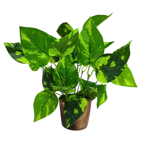 Fancy Mart Artificial Money Plant in Wood Round Small Pot (20 cm x 20 cm x 30 cm, Green)