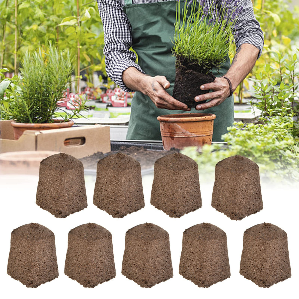 BAOFUYA 50Pcs Growth Plugs, Seed Starter Rapid Rooter Plugs Grow Sponges for Indoor Hydroponic Growing System