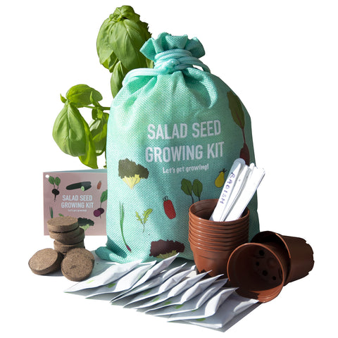 Scott&Co. Salad Seed Kit, 10 Different Vegetable Seed Varieties to Grow Your Own, Tomato, Lettuce, Cucumber. Veg Seeds, Pots, Labels and Compost. Gardening Gifts for Women and Men