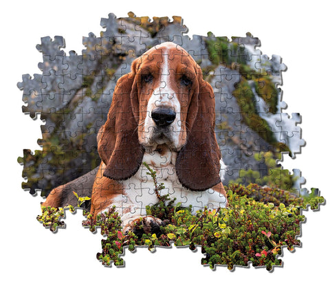 Clementoni - 39511 - Collection Puzzle - Charlie Brown - 1000 Pieces - Made in Italy - Jigsaw Puzzles for Adult