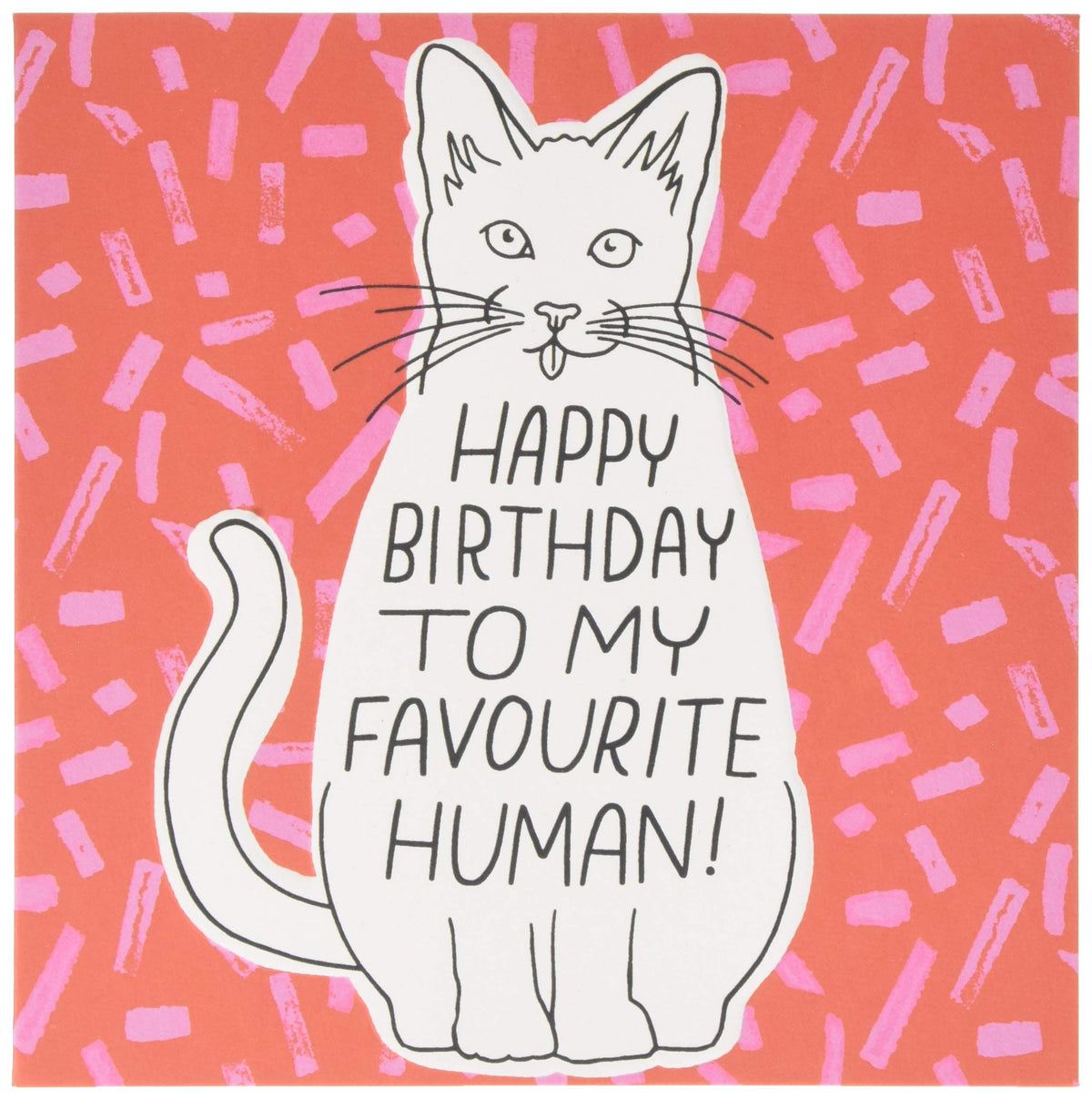 Hallmark Birthday Card from The Cat - Embossed Studio Ink Design