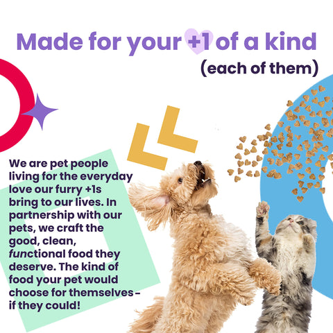 I AND LOVE AND YOU "I and love and you" Baked & Saucy Grain Free Kibble Dry Dog Food with Gravy Coating (Variety of Flavors)