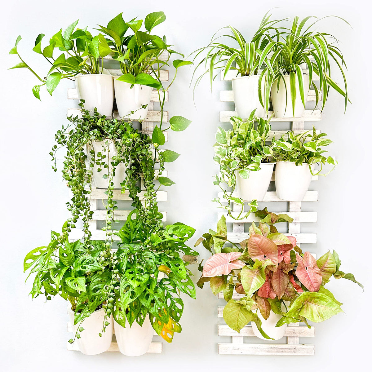 ShopLaLa Wooden Wall Planters - 2 Pack Wall Mounted Plant Holder for Hanging Flower Pots Farmhouse Rustic White Wood Garden Vertical Living Herb Balcony Unique Large Green Decor 35.4" (90cm)