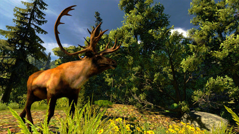 Cabela's Hunting Expeditions [Download]