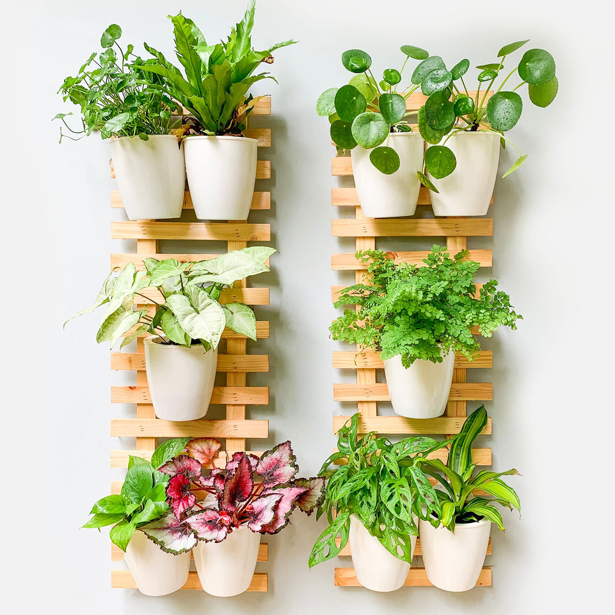 ShopLaLa Wooden Wall Planter - 2 Pack Wall Hanging Planters for Indoor Plants Wall Mounted Natural Wood Holder Vertical Garden System Unique Large Live Living Green Plant Wall Decor 35.4" (90cm)