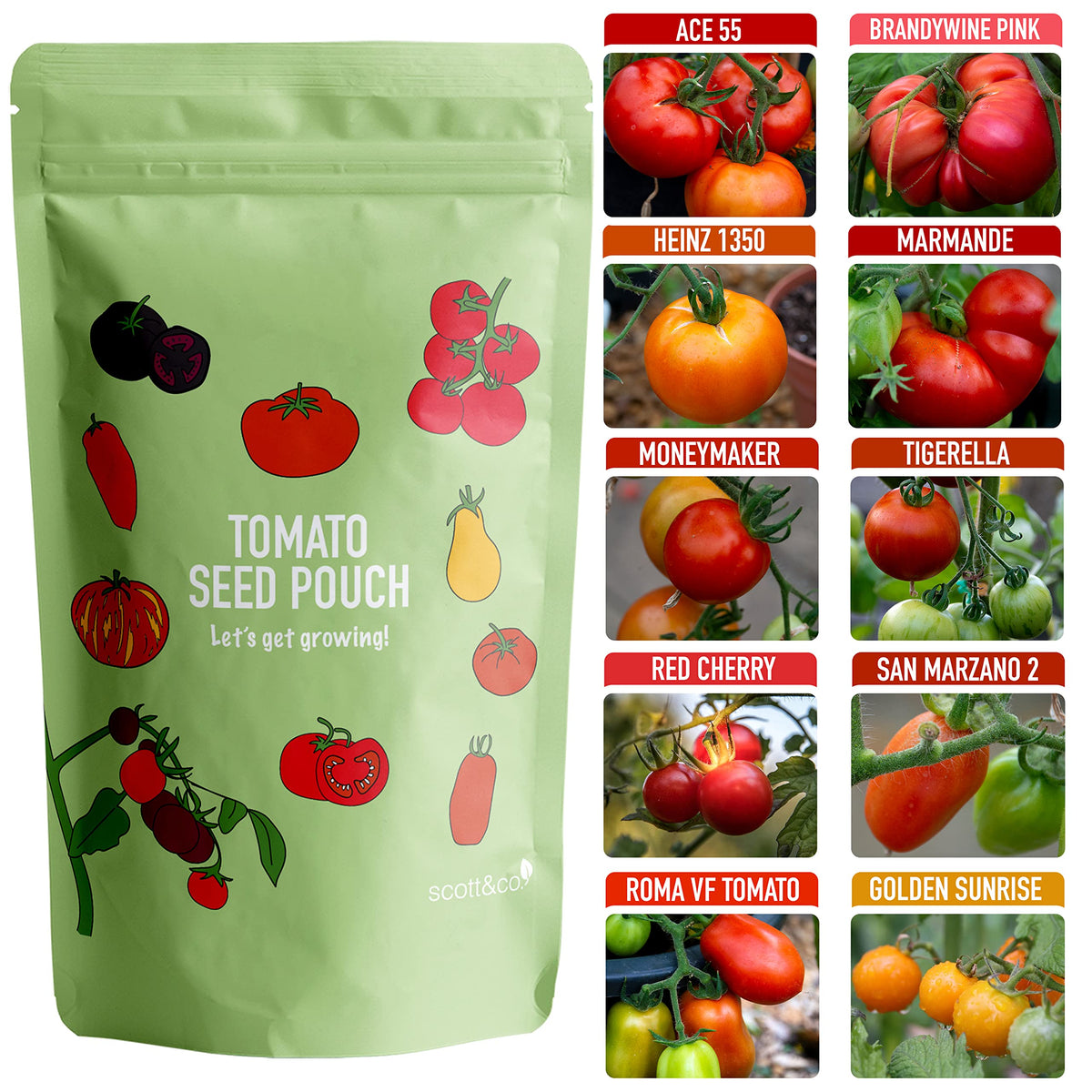Scott&Co. Tomato Seed Variety Pack, Indoor, Outdoor, UK Planting, Moneymaker, Roma VF, San Marzano, Golden Sunrise, Red Cherry, Tigerella Tomato Seeds, Gardening Gifts for Women and Men