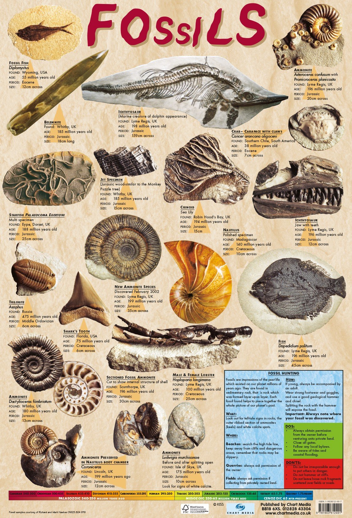Educational FOSSILS Geology Science Poster/Wall Chart with Photographic Images - 60cm x 40cm