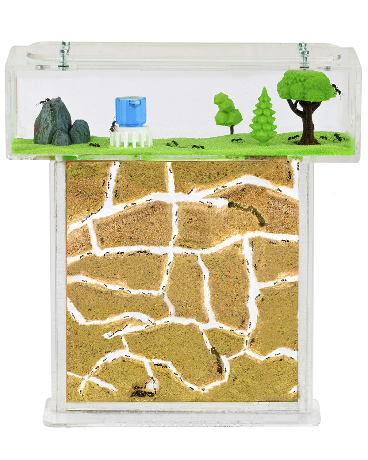 AntHouse - Natural sand ant farm - Acrylic T Kit 15x15x1 - 5cm