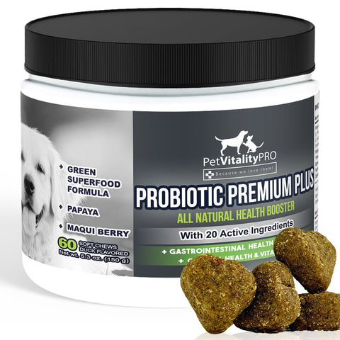 PetVitalityPRO Probiotics for Dogs with Natural Digestive Enzymes ÃƒÂ¢Ã¢â‚¬â€Ã‚Â 4 Bill CFUs/2 Soft Chews ÃƒÂ¢Ã¢â‚¬â€Ã‚Â Dog Diarrhea Upset Stomach Yeast Gas Bad Breath Immunity Allergies Skin Itching Hot Spots ÃƒÂ¢Ã¢â‚¬â€Ã‚Â 60 Count
