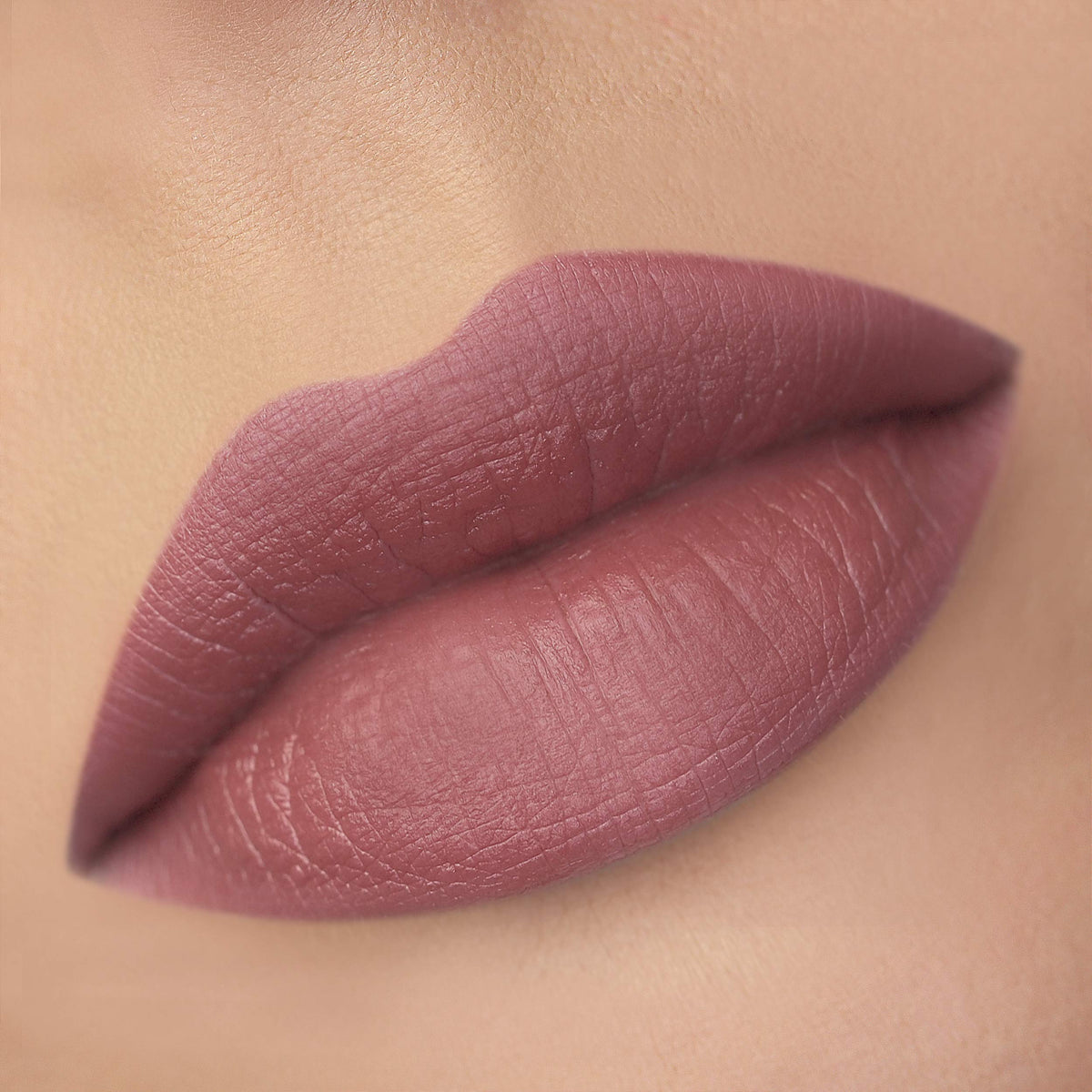 Luxvisage Long Lasting Ultra Matte Lipstick PIN UP with Castor Oil, Vitamin E (Color 544, Paula)