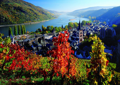Ravensburger On The River Rhine 1000 Piece Jigsaw Puzzle for Adults - Every Piece is Unique, Softclick Technology Means Pieces Fit Together Perfectly