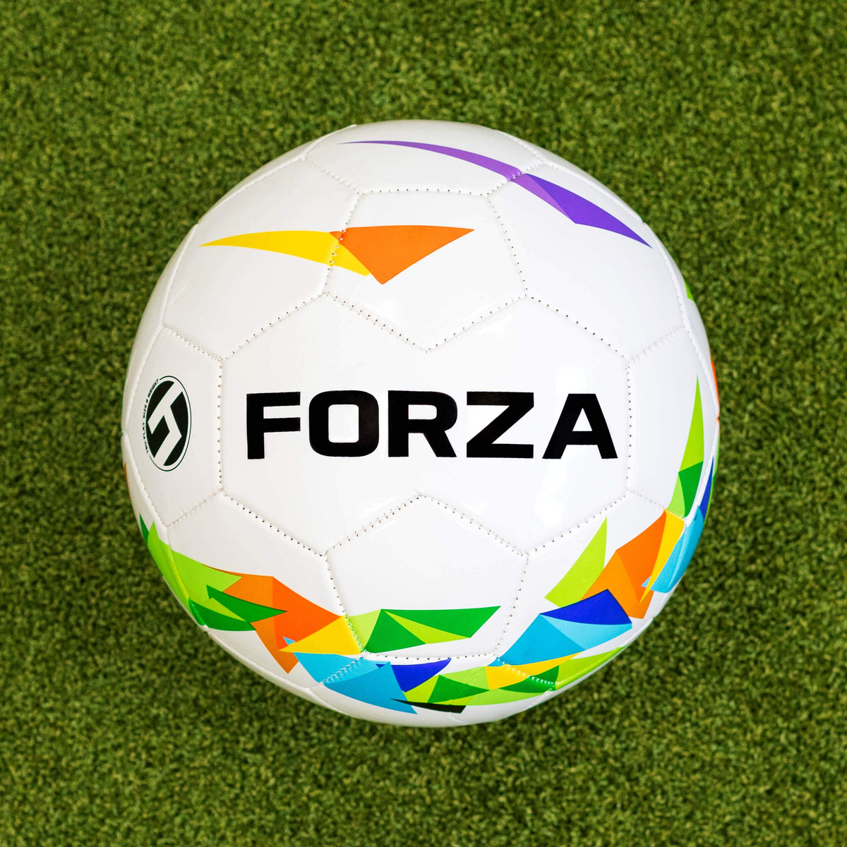 FORZA Footballs - Match, Training, Astro, Garden And Futsal Balls - Expertly Manufactured Footballs [Net World Sports] (FORZA Garden Football [2018], Size 4 (Junior))