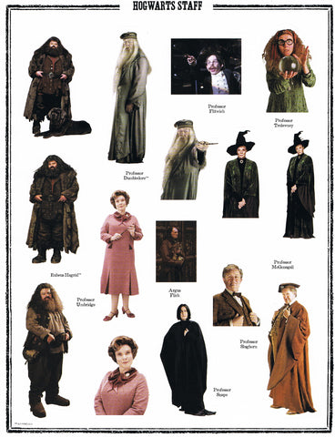 Harry Potter Full Sheet Stickers "Hogwarts School Professors and Staff"