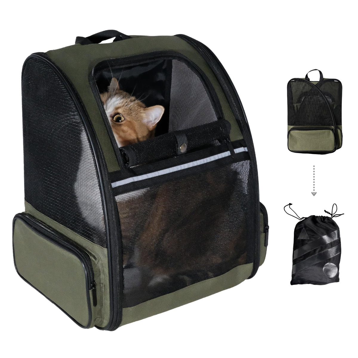 Beyond Pet Carrier Backpack- Airline Approved High Ventilation Cat Carrier Backpack for Cats or Dogs Up to 20 lbs - Travel Storage Pouch Included with Pet Carrier