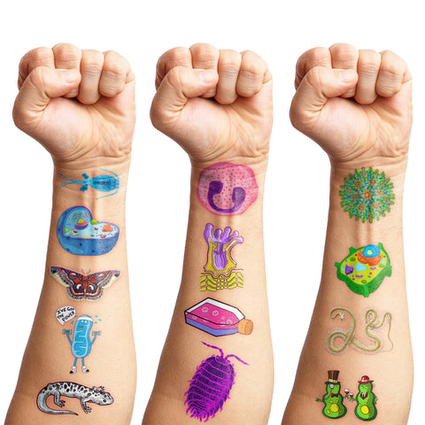(96 PCS) Funny Biology Science Student Major Temporary Tattoos Birthday Themed Party Supplies Decorations Favors Cute Stickers Tattoo Gifts for Kids Girls Boys Teachers Decor School Reward Christmas
