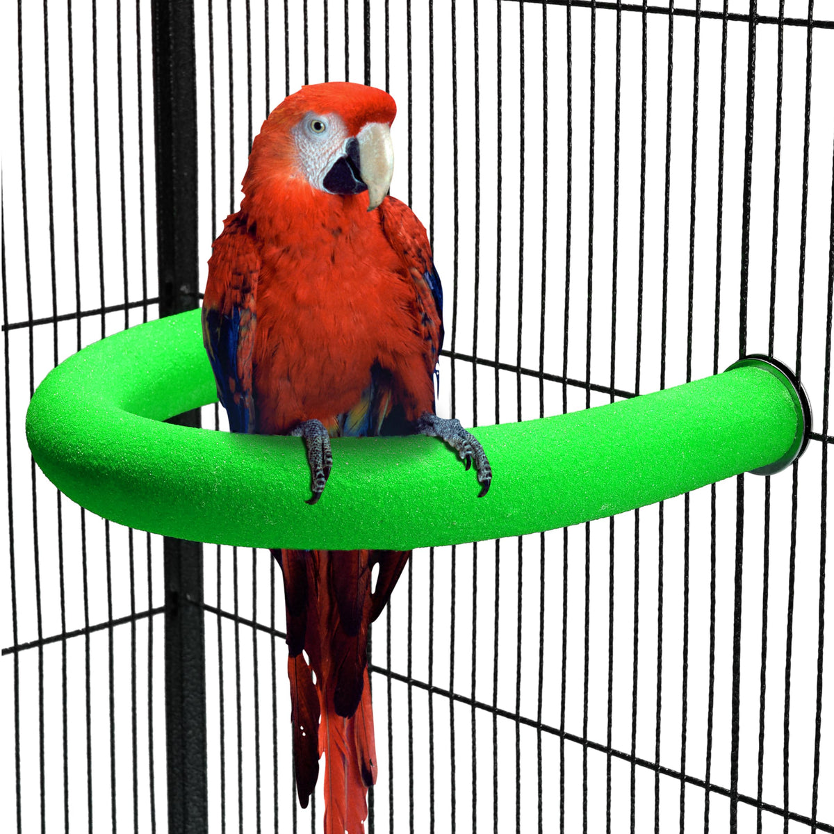 FrgKbTm U Shape Parrot Perch Stand Toy Bird Platform Sand Paw Grinding Clean Stick Exercise Conure Budgie Cockatiel Cage Accessories (Green Large)