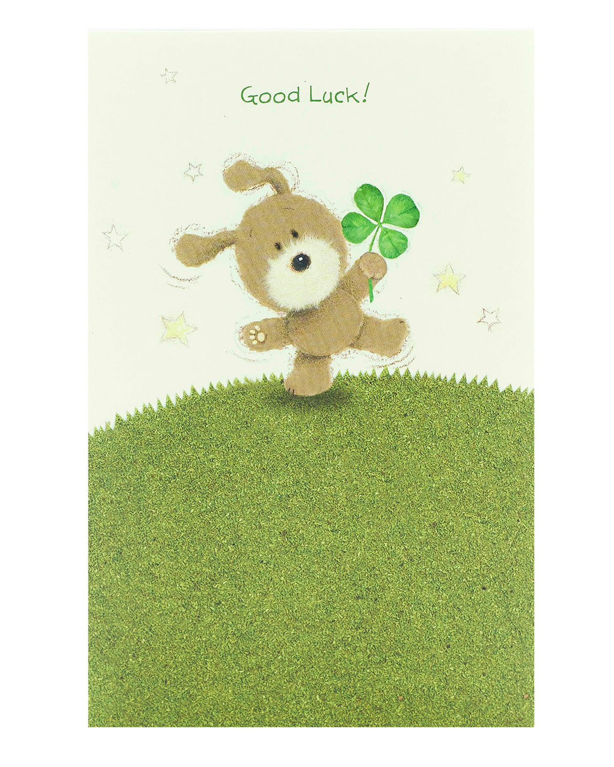 UK Greetings Good Luck Card for Him/Her/Friend - Cute Green Design